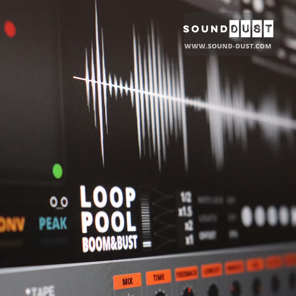 LOOP POOL BOOM & BUST post