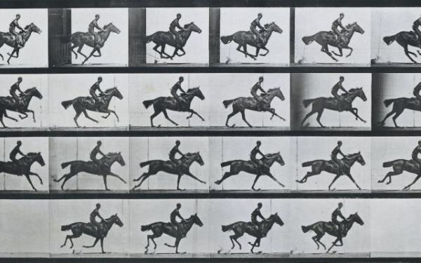 The horse in motion (Eadweard Muybridge) 1878 First Film Ever